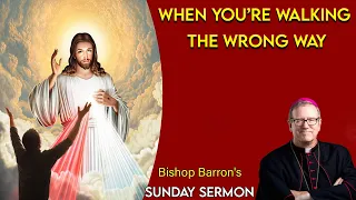 Bishop Barron's Sunday Sermon -When You’re Walking the Wrong Way ✝Inspirational Lecture