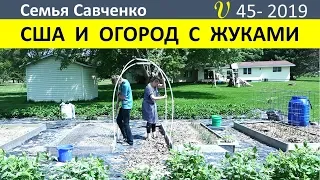 Огород в США и борьба с жуками!!! Русский язык для американских детей Семья Савченко