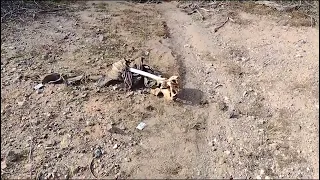 Imagenes fuertes. Encontramos los restos de un migrante en el Desierto de Arizona