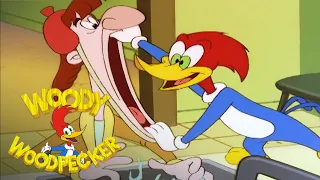 Woody Woodpecker | Woody's Home Remedies | Full Episode