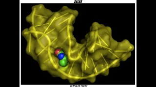 Systematic Evolution of Ligands by Exponential Enrichment (SELEX)