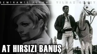 At Hırsızı:  Banuş (1967 )   Yılmaz Güney  & Semiramis Pekkan