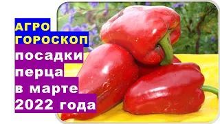 Агрогороскоп посева семян сладкого и горького перца на рассаду в марте 2022 года