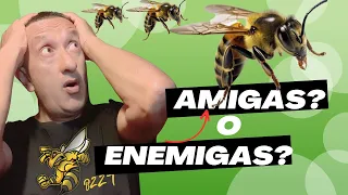 👉 Amigas? enemigas? 🤔| QUÉ SON realmente las abejas para nosotros?