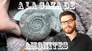 A la caza de amonites