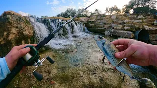 This CRYSTAL clear pond was FILLED with GIANTS! (BIG swimbait ONLY)