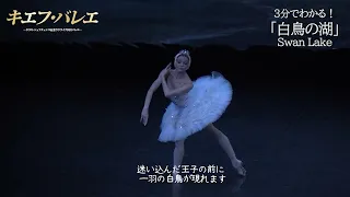 キエフ・バレエ　3分で分かる「白鳥の湖」Ukraine　KYIV BALLET/SWAN LAKE