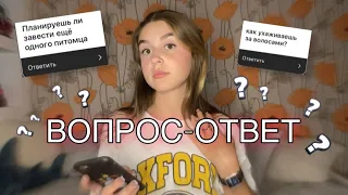 ВОПРОС-ОТВЕТ! СКОЛЬКО БЫЛО ОТНОШЕНИЙ?КАК ПОЗНАКОМИЛАСЬ С ПАРНЕМ?