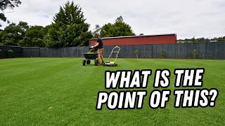 Mini renovation before the full renovation?? // thinning out my lawn with the Ryobi scarifier
