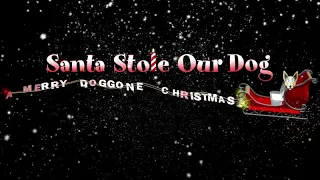 Santa Stole Our Dog: A Merry Doggone Christmas! (2017) Intro Scene (HD)