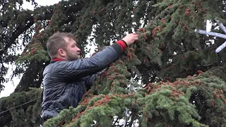 Симферополь украшают к  Новому году