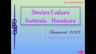 Simulare Evaluare Nationala Hunedoara 2022