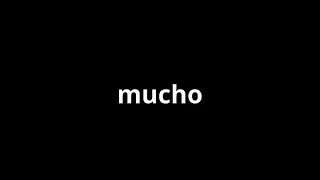 what is the meaning of mucho