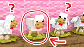 Monster School : Poor Chicken, Can't Lay Eggs - Sad Story - Minecraft Animation