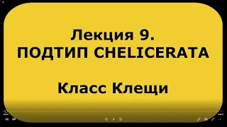 Зоология беспозвоночных. Лекция 9. Подтип  CHELICERATA. Класс Клещи