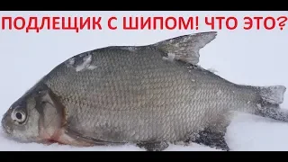 ПОДЛЕЩИК С ШИПОМ