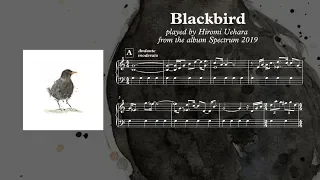 Blackbird - Hiromi Uehara ( Piano Transcription )