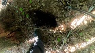 Unexpected Metal Detecting Woods Hunt Upstate NY New York Found Silver and Some Old