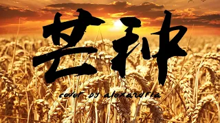 grain in ear 芒种 - mang chủng (english cover)