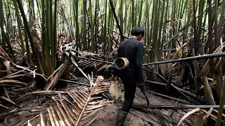 Berburu dan masak kerang kepah dalam hutan nipah, setelah setengah hari mancing tak dapat udang