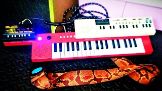 MODDED "Toy KEYTAR" Synthesizer With Korg Monotron DELAY & Retro Concertmate 200 // Electronic JAM