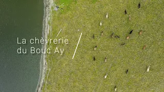 La Chèvrerie du Bouc Ay - Visite d'une chèvrerie