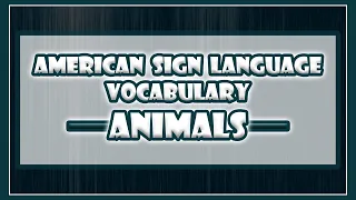 Various Animals in ASL