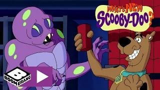 What's New, Scooby-Doo? | Alien Alert! | Boomerang UK 🇬🇧