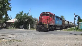 Tren del Trigo | Miraflores