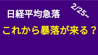 【日経平均はこれから暴落する？】