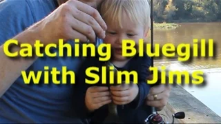 Best bluegill bait - Slim Jims! Catch tons of bream.