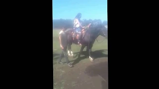 Riding a Horse C5 C6 Incomplete Quadriplegic