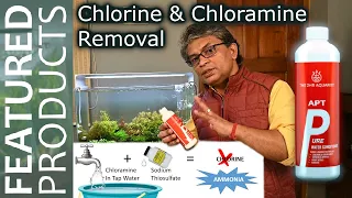 How to treat tap water for aquarium use| APT Pure Water Conditioner |Chlorine and chloramine removal