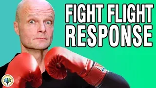 What Is The Sympathetic Nervous System (Fight or Flight)?