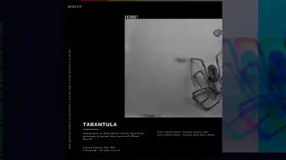 Daniel Hokum - Tarantula (Zuma Dionys Remix) [AKASHA MX]
