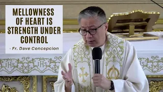 MELLOWNESS OF HEART IS STRENGTH UNDER CONTROL - Homily by Fr. Dave Concepcion (MAY 22, 2022)