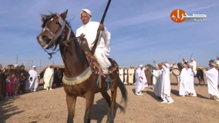 رقصة سعداوي بالخيل قناة صحراء الجزائرية