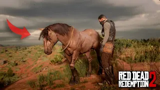 You'll Never Ride Arabian Horses If You Ride This N7 - RDR2