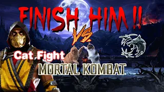 Mortal Kombat Драки Котов Cat Fight