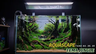 Membuat Aquascape Tema Jungle