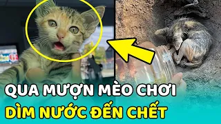 😻 Chấn động bé gái DÌM NƯỚC bé MÈO CON đến TỬ VONG rồi GIẤU XÁC | MEOW