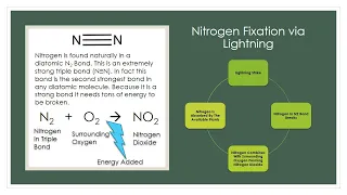 How Do Thunder and Lightning Help Plants to Grow? Nitrogen Fixation via Lightning