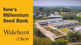 Kew’s Millennium Seed Bank at Wakehurst