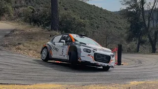 Rallye de Haute Provence 2024 | Crash and Mistake