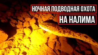 НОЧНАЯ ПОДВОДНАЯ ОХОТА НА НАЛИМА