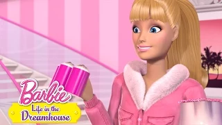 Aflevering 59: IJskoude Barbie deel 2 | @Barbie