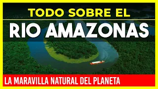 🔴 TODO SOBRE EL RIO AMAZONAS 🔴 LA MARAVILLA NATURAL DEL PLANETA 🌲 WAMAN ADVENTURES