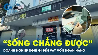 Doanh nghiệp “cầm cự còn chẳng xong”, sức đâu mà vay vốn ngân hàng? | CafeLand