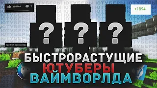 БЫСТРОРАСТУЩИЕ ЮТУБЕРЫ ВАЙМ ВОРЛДА! | КАК ОНИ НАБРАЛИ СВОЮ АУДИТОРИЮ?! | -VimeWorld Duels Вайм Ворлд