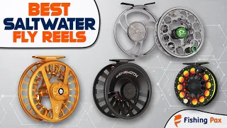 Best Saltwater Fly Reels (Budget & High-End Models Compared)
